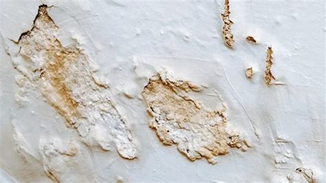 Murs intérieurs présentant des traces de salpêtre