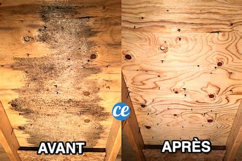 Gros plan sur des taches noires de moisissure sur un parquet en bois