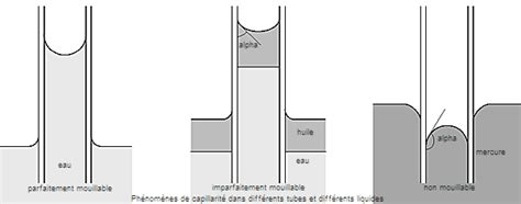 Schéma explicatif du phénomène de capillarité avec un morceau de sucre dans le café