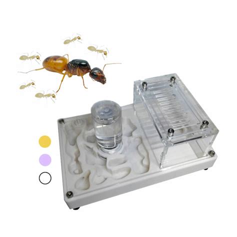 Fourmilière modulable avec plusieurs modules