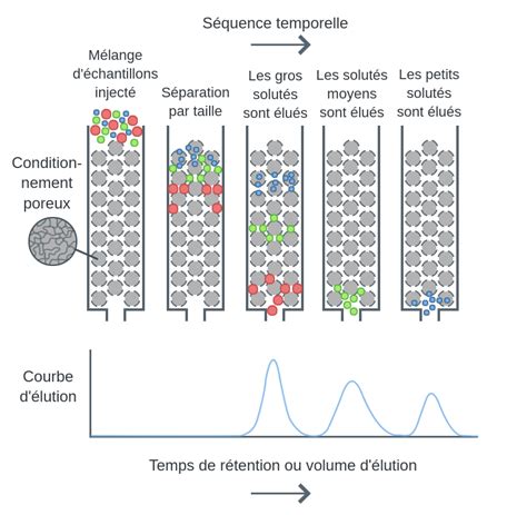 Principe de la chromatographie d'exclusion stérique