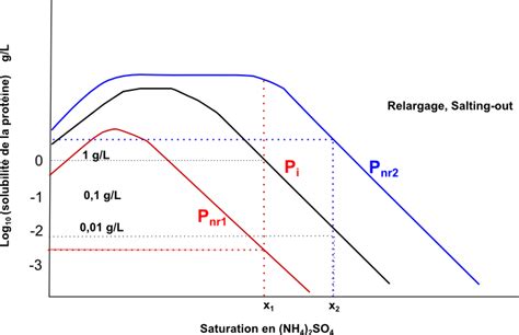 Diagramme illustrant la précipitation des protéines par le sulfate d'ammonium