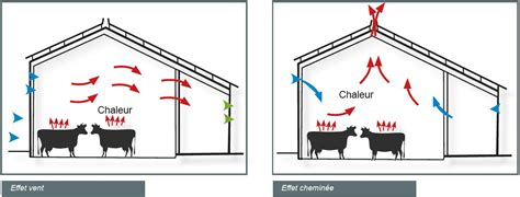 Diagramme expliquant l'effet cheminée et l'effet vent pour la ventilation d'une écurie