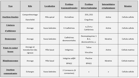 Tableau comparatif des propriétés d'évacuation de l'humidité de différents tissus