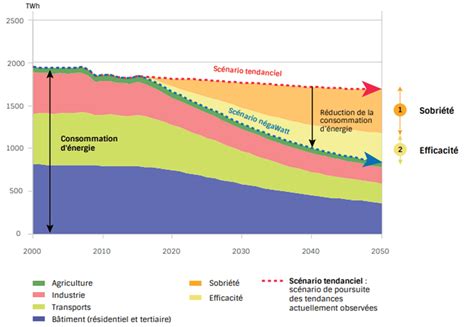 Graphique montrant la durée d'efficacité des différentes solutions détox