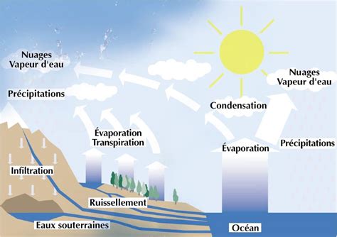 Schéma du cycle de l'eau du captage au robinet