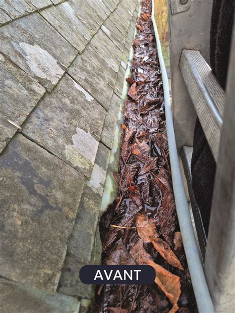 Gouttière obstruée par des feuilles