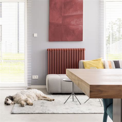 Radiateur peint en couleur vive pour un contraste décoratif