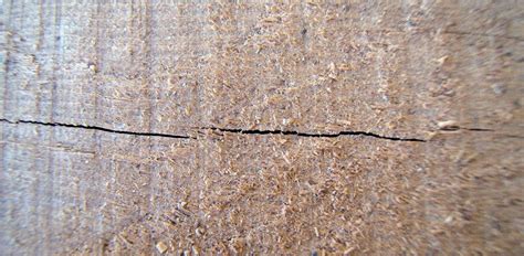 Gros plan sur les gerces (fissures de séchage) à l'extrémité d'une bûche de bois