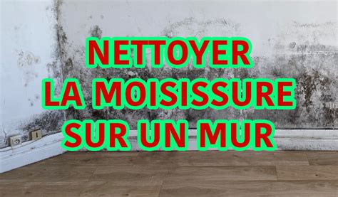 Maison avec des taches de moisissure sur les murs