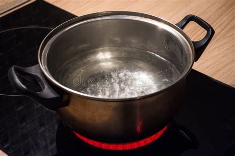Casserole d'eau avec un thermostat