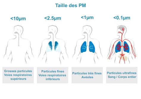 Illustration des différentes tailles de particules polluantes dans l'air
