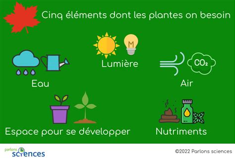 Schéma des besoins en température des plantes en serre