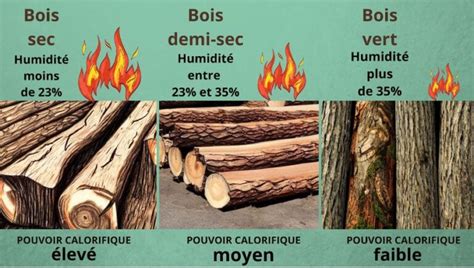 Graphique montrant l'évolution du Pouvoir Calorifique Inférieur du bois de chauffage en fonction du taux d'humidité