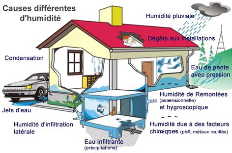 Schéma expliquant les causes de l'humidité dans un sous-sol