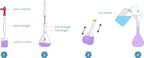 Schéma explicatif de la dilution homéopathique