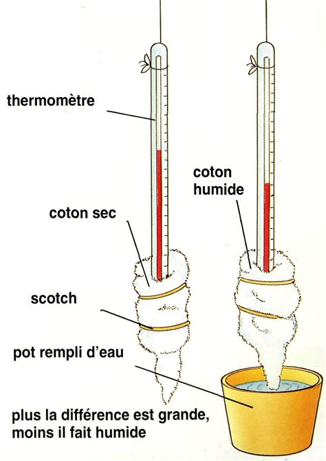 Thermomètre mouillé et thermomètre sec sur un psychromètre