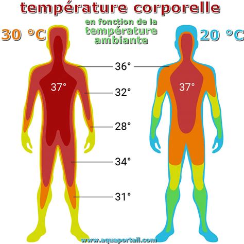 Diagramme illustrant l'influence de la température et de l'humidité sur le corps humain