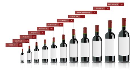 Comparaison de différents types de refroidisseurs de bouteilles de vin