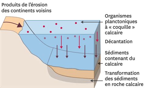Schéma de la formation du calcaire dans l'eau