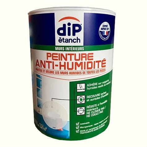 Peinture anti-humidité DIP Etanch