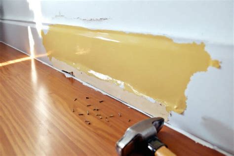 Plinthe décollée révélant un mur humide