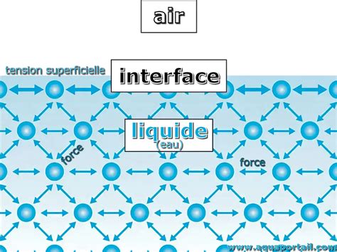 Diagramme montrant la différence entre une tache d'eau superficielle et une tache d'eau profonde sur le bois