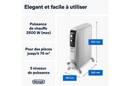 Radiateur bain d'huile DeLonghi Dragon 4