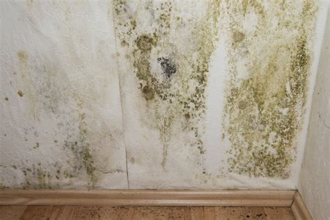 Mur avec des taches de moisissure et du salpêtre
