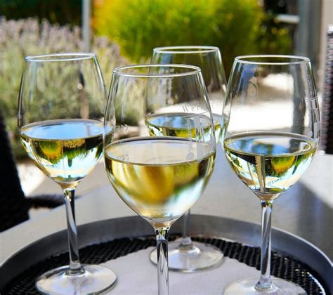 Bouteille de vin blanc frais dans un rafraîchisseur