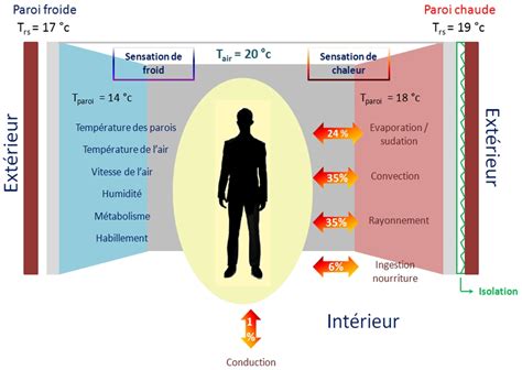Schéma du corps humain et des échanges thermiques