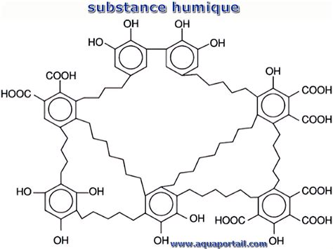 Illustration montrant l'action des acides humiques dans la structure du sol