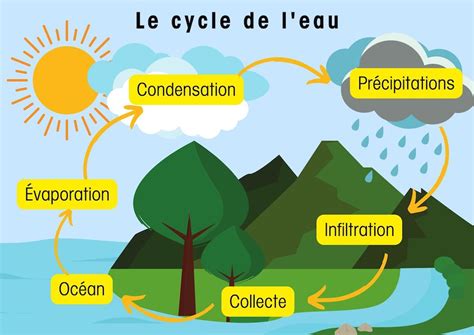 Diagramme expliquant le cycle de l'eau et l'humidité dans l'air