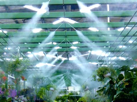 Vue intérieure d'une serre avec un système de brumisation