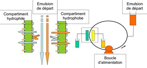 Diagramme illustrant les technologies de séparation membranaire pour le lactosérum