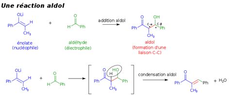Diagramme des possibles produits d'une réaction d'aldolisation impliquant une dicétone asymétrique