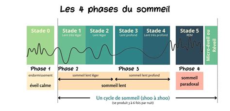 Graphique illustrant les différentes phases du temps de prise du ciment