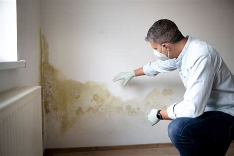 Illustration de l'humidité dans un sous-sol avec des taches sur les murs et un sol mouillé
