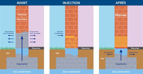 Schéma expliquant les différentes sources d'humidité dans un sous-sol : remontées capillaires, infiltrations, condensation
