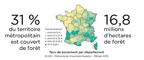 Forêt française gérée durablement
