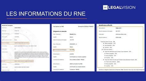 Schéma illustrant les différents registres d'entreprise en France (Sirene, RNE, RNA)