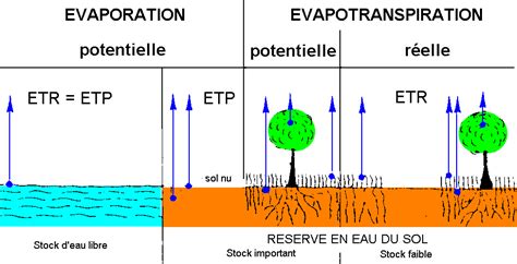 Diagramme expliquant ETP et ETR