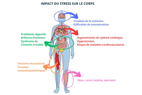 Schéma illustrant les effets de l'air sec sur le corps humain
