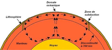 Représentation schématique des cellules de convection dans le manteau terrestre