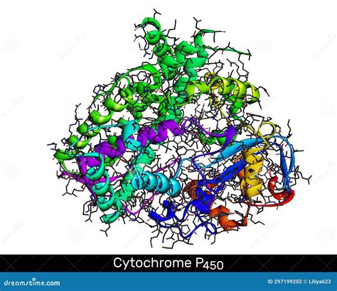 Diagramme illustrant le mécanisme d'inhibition suicide d'un cytochrome P450