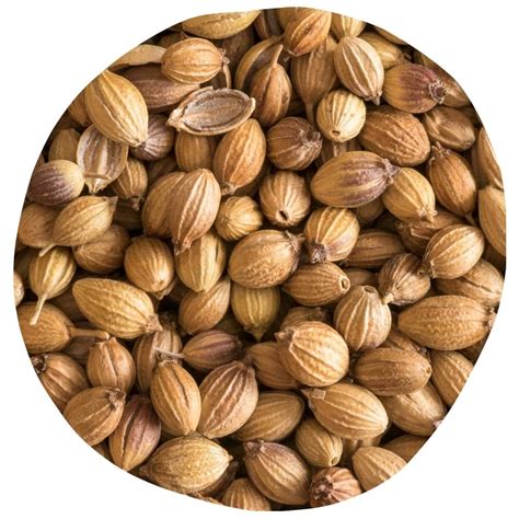 Graines de coriandre