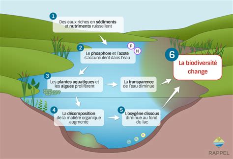 Schéma explicatif de la dureté de l'eau et ses conséquences