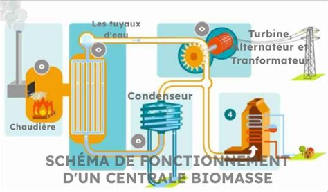 Schéma de fonctionnement d'une centrale biomasse