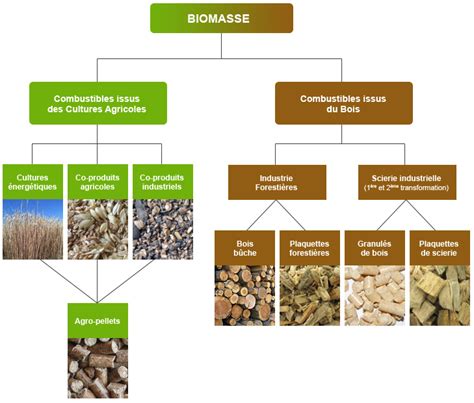 Différents types de combustibles biomasse (bûches, granulés, plaquettes)