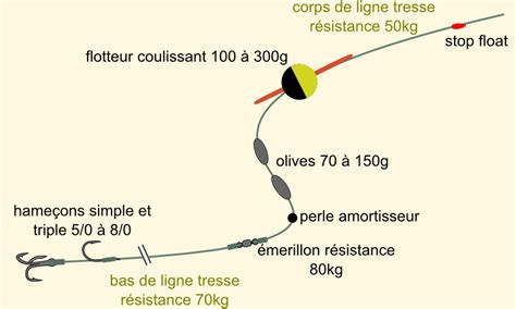 Composition d'un amorçage pour silure